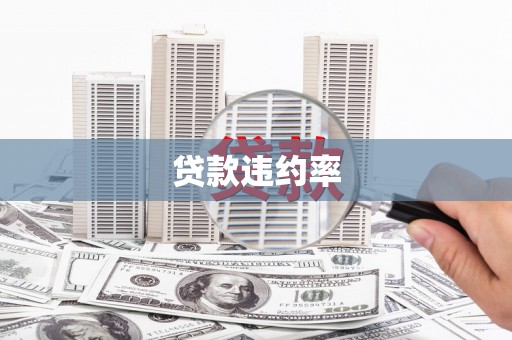 望奎贷款违约率