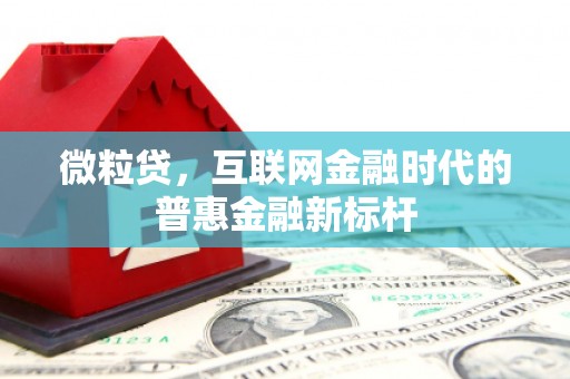 望奎微粒贷，互联网金融时代的普惠金融新标杆
