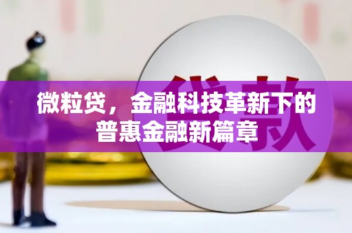 望奎微粒贷，金融科技革新下的普惠金融新篇章