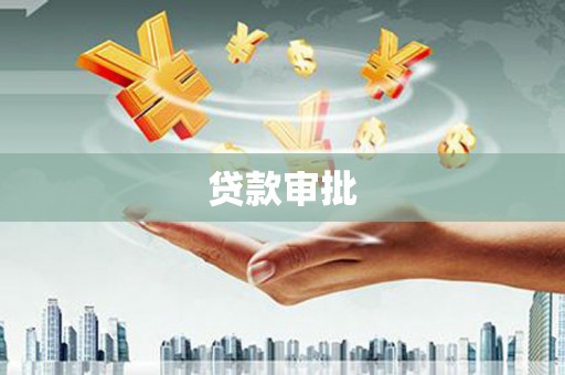 望奎贷款审批