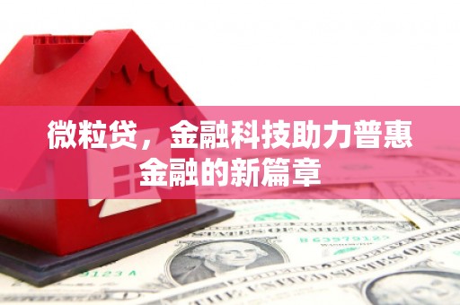 望奎微粒贷，金融科技助力普惠金融的新篇章