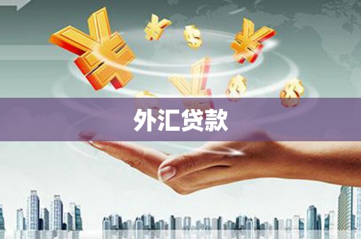 望奎外汇贷款