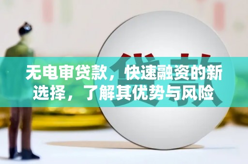 望奎无电审贷款，快速融资的新选择，了解其优势与风险