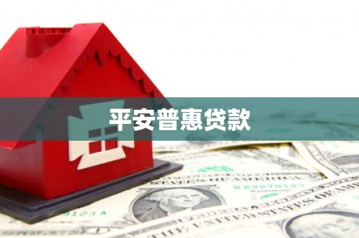 望奎平安普惠贷款