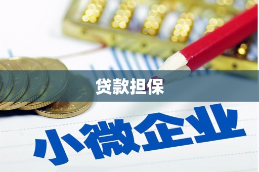 望奎贷款担保