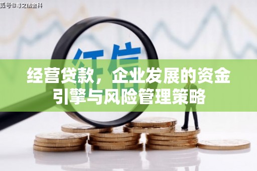 望奎经营贷款，企业发展的资金引擎与风险管理策略