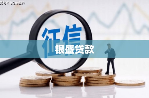望奎银盛贷款