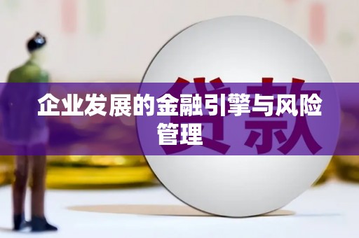 望奎企业发展的金融引擎与风险管理