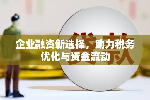 望奎企业融资新选择，助力税务优化与资金流动
