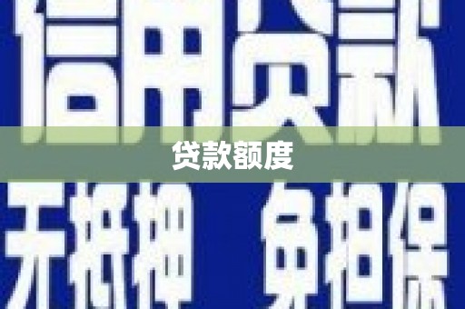 望奎贷款额度