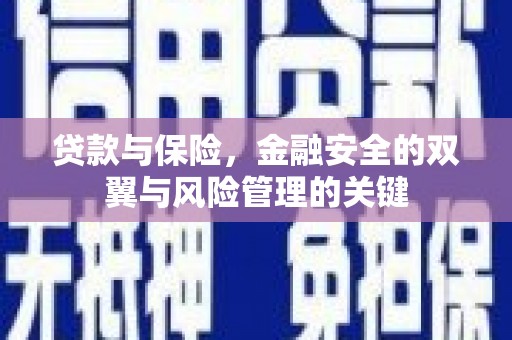 望奎贷款与保险，金融安全的双翼与风险管理的关键