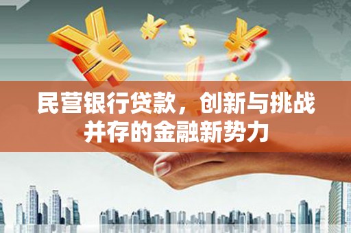 望奎民营银行贷款，创新与挑战并存的金融新势力