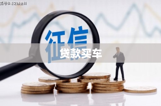望奎贷款买车