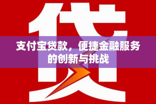 望奎支付宝贷款，便捷金融服务的创新与挑战