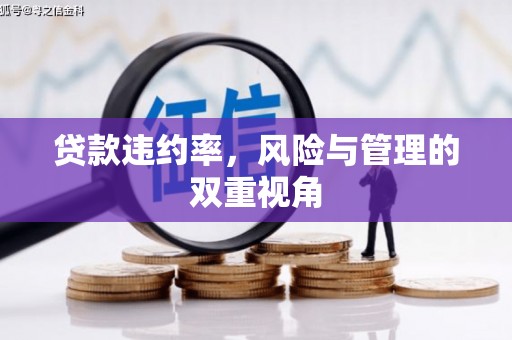 望奎贷款违约率，风险与管理的双重视角