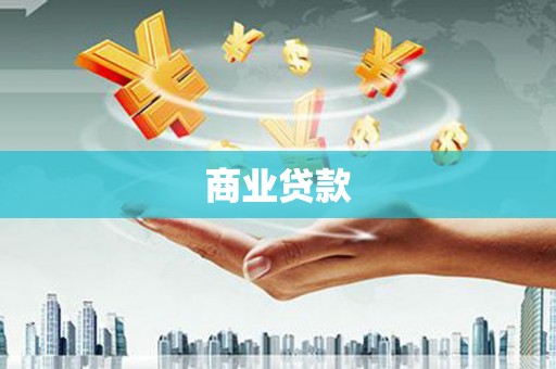 望奎商业贷款