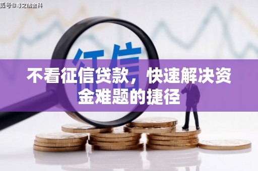望奎不看征信贷款，快速解决资金难题的捷径