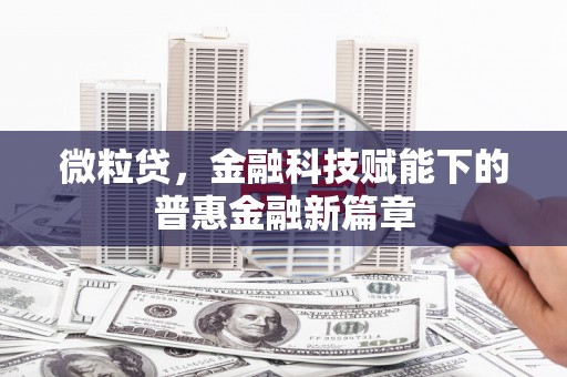 望奎微粒贷，金融科技赋能下的普惠金融新篇章