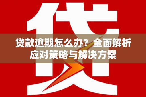 望奎贷款逾期怎么办？全面解析应对策略与解决方案