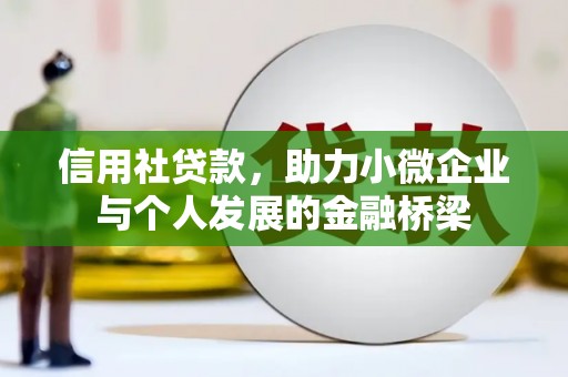 望奎信用社贷款，助力小微企业与个人发展的金融桥梁