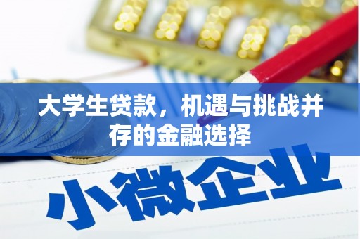 望奎大学生贷款，机遇与挑战并存的金融选择