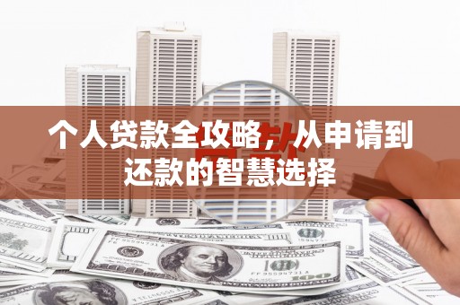 望奎个人贷款全攻略，从申请到还款的智慧选择