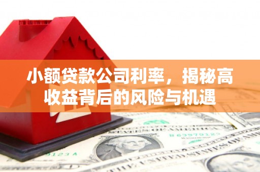 望奎小额贷款公司利率，揭秘高收益背后的风险与机遇