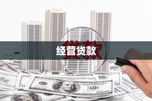 望奎经营贷款