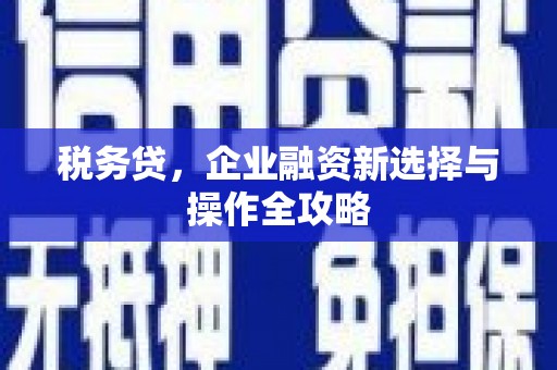 望奎税务贷，企业融资新选择与操作全攻略