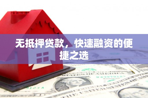 望奎无抵押贷款，快速融资的便捷之选