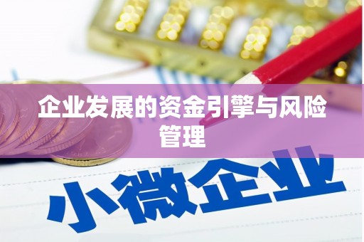 望奎企业发展的资金引擎与风险管理