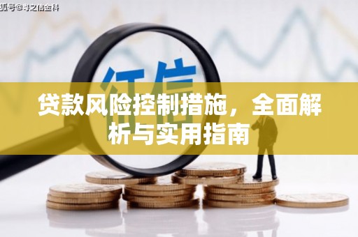 望奎贷款风险控制措施，全面解析与实用指南