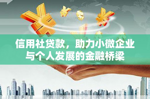 望奎信用社贷款，助力小微企业与个人发展的金融桥梁