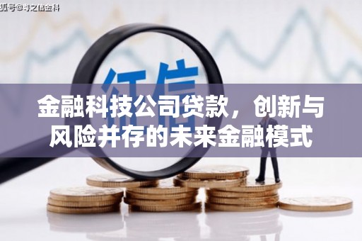 望奎金融科技公司贷款，创新与风险并存的未来金融模式
