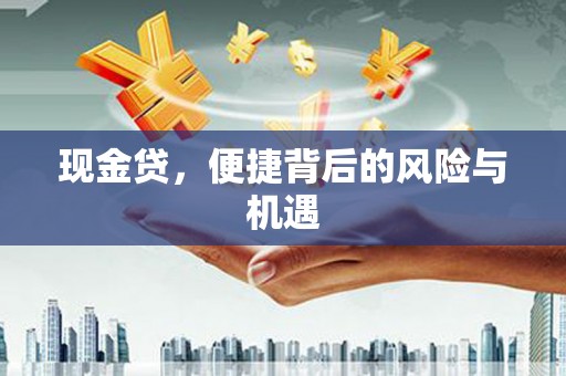 望奎现金贷，便捷背后的风险与机遇