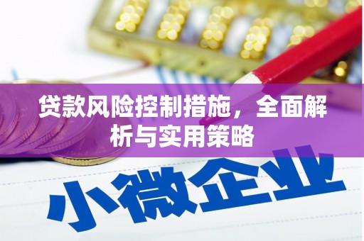 望奎贷款风险控制措施，全面解析与实用策略