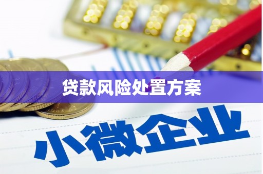 望奎贷款风险处置方案
