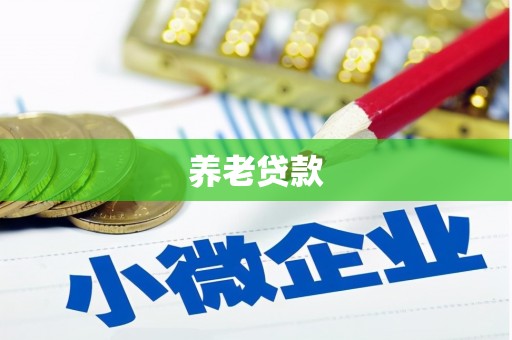 望奎养老贷款