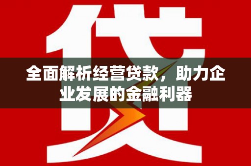 望奎全面解析经营贷款，助力企业发展的金融利器