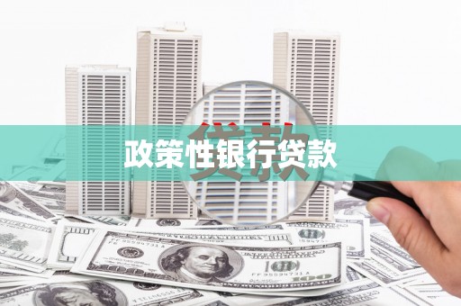 望奎政策性银行贷款