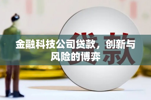 望奎金融科技公司贷款，创新与风险的博弈