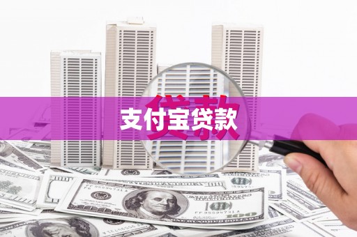 望奎支付宝贷款