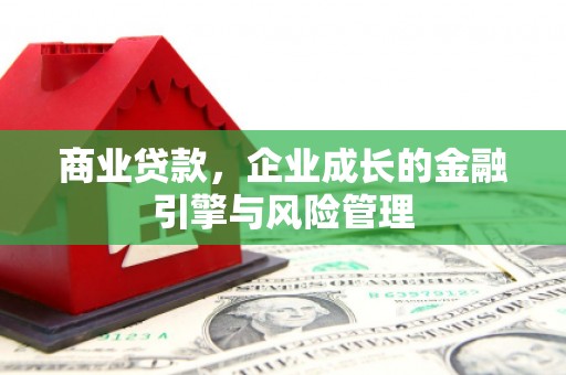 望奎商业贷款，企业成长的金融引擎与风险管理