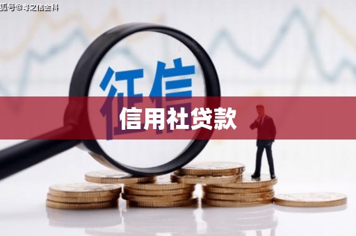 望奎信用社贷款