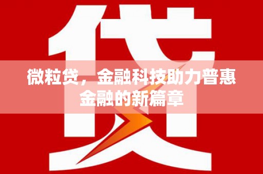 望奎微粒贷，金融科技助力普惠金融的新篇章