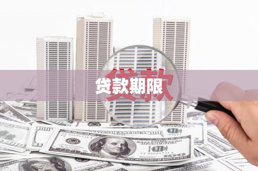 望奎贷款期限