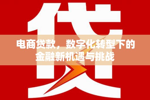 望奎电商贷款，数字化转型下的金融新机遇与挑战