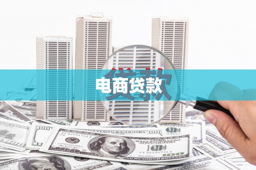 望奎电商贷款