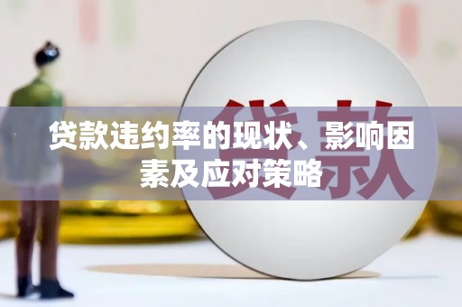 望奎贷款违约率的现状、影响因素及应对策略