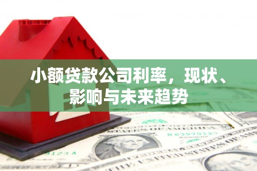 望奎小额贷款公司利率，现状、影响与未来趋势